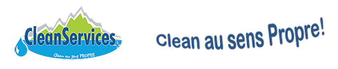 CleanServices